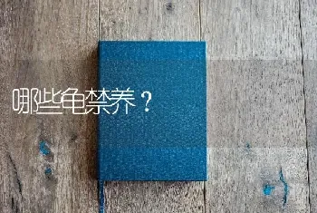 哪些龟禁养？