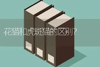 7斤的法斗吃多少干狗粮？