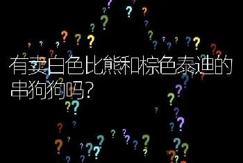 有卖白色比熊和棕色泰迪的串狗狗吗？