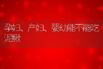 孕妇、产妇、婴幼能不能吃泥鳅