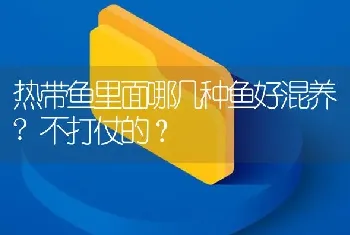 鱼缸水泵总歪是什么意思？