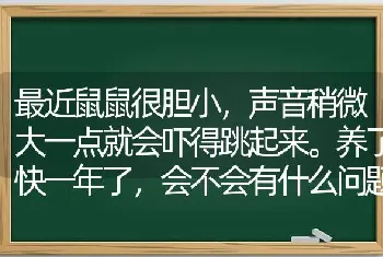 最近鼠鼠很胆小，声音稍微大一点就会吓得跳起来。养了快一年了，会不会有什么问题？