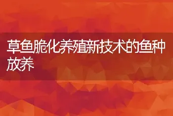 草鱼脆化养殖新技术的鱼种放养