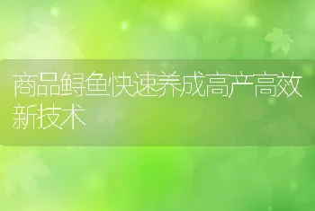 商品鲟鱼快速养成高产高效新技术