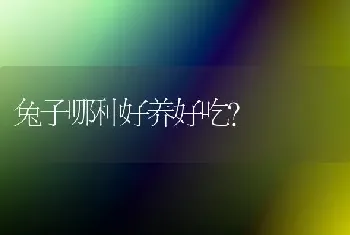 请问1个多月的金毛，可以训么，应该怎么训练？