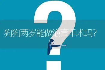 狗狗两岁能做绝育手术吗？