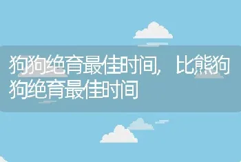 狗狗绝育最佳时间，比熊狗狗绝育最佳时间