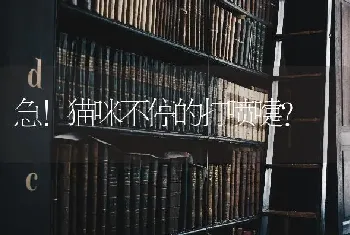 1988年9月初6凌晨2点整？