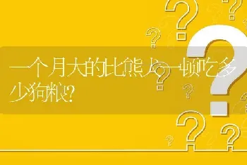 一个月大的比熊犬一顿吃多少狗粮？