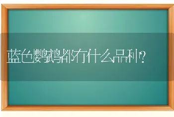 蓝色鹦鹉都有什么品种？