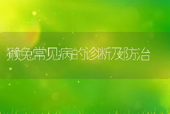 11月份畜牧农事要点