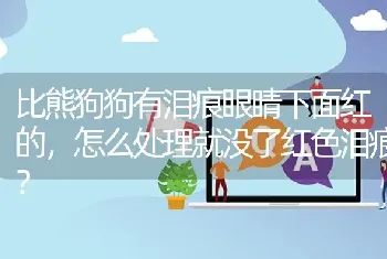 比熊狗狗有泪痕眼睛下面红的，怎么处理就没了红色泪痕？