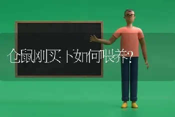 想在淘宝买只黄缘龟，风险大吗，应该注意哪些？