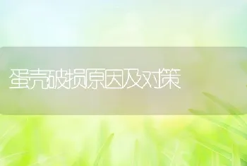 蛋壳破损原因及对策