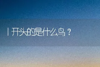 丨开头的是什么鸟？