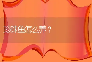 珍珠鱼怎么养？