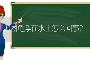 地图龟浮在水上怎么回事？