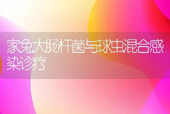 浅谈科学防治鱼病