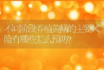 不同阶段养殖黄鳝的主要风险有哪些怎么预防？