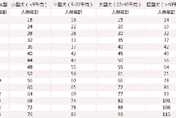 狗狗年龄对照表，狗狗年龄对照表？