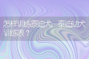 怎样训练泰迪犬，泰迪幼犬训练表？