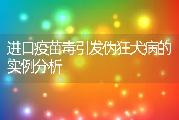 进口疫苗毒引发伪狂犬病的实例分析