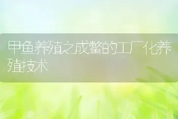 甲鱼养殖之成鳖的工厂化养殖技术