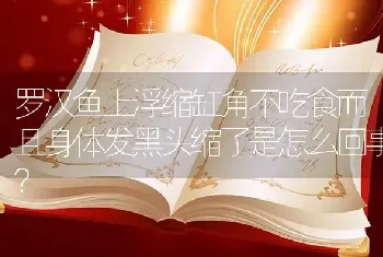 罗汉鱼上浮缩缸角不吃食而且身体发黑头缩了是怎么回事？