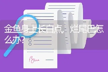 金鱼身上长白点,烂尾巴怎么办？