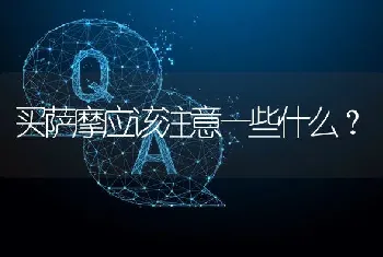 买萨摩应该注意一些什么？