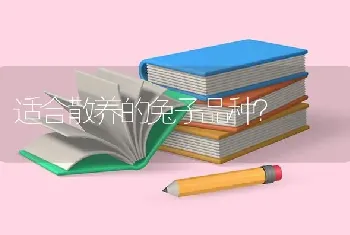 适合散养的兔子品种？