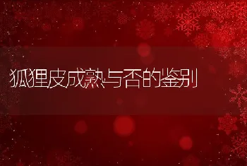 獭兔不同生理阶段常见病的诊断与防治