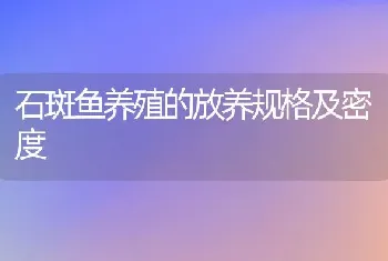 石斑鱼养殖的放养规格及密度