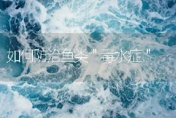 如何防治鱼类＂毒水症＂