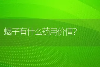 蝎子有什么药用价值？