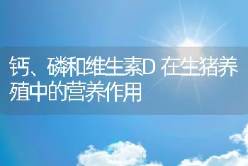 钙、磷和维生素D在生猪养殖中的营养作用