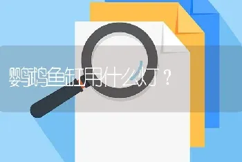 鹦鹉鱼缸用什么灯？