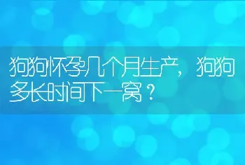 狗狗怀孕几个月生产，狗狗多长时间下一窝？