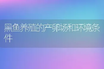 黑鱼养殖的产卵场和环境条件