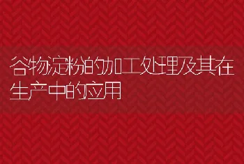 谷物淀粉的加工处理及其在生产中的应用