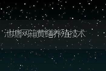 池塘网箱黄鳝养殖技术