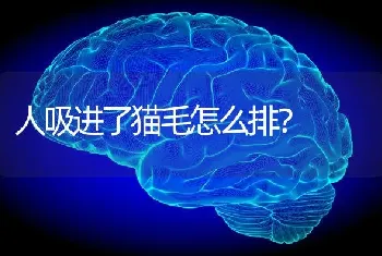 人吸进了猫毛怎么排？