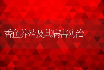 香鱼养殖及其病害防治