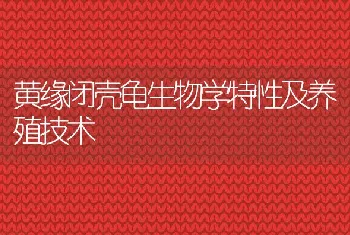 肉狗常见寄生虫病防治技术