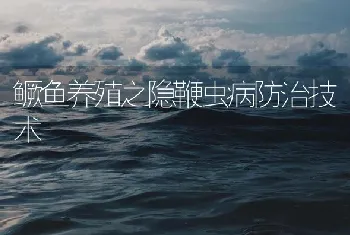 鳜鱼养殖之隐鞭虫病防治技术