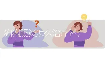 狗狗肠炎怎么治疗？