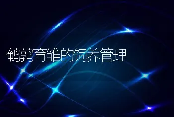 从五个方面加强冬春鱼塘管理提高淡水鱼养殖效益