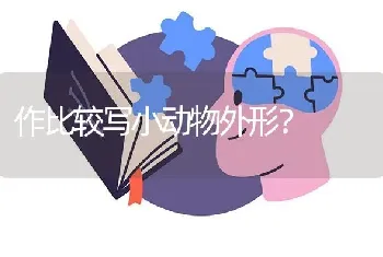 俾斯麦最喜欢的狗？