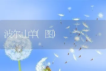 四季养兔的技术管理要点