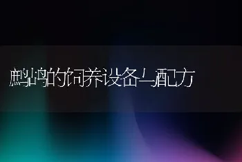 无公害肉兔饲养管理技术